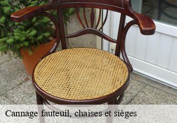 Cannage fauteuil, chaises et sièges 77 Seine-et-Marne  Tapissier Décorateur