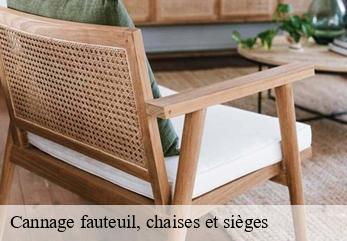 Cannage fauteuil, chaises et sièges 77 Seine-et-Marne  Tapissier Décorateur