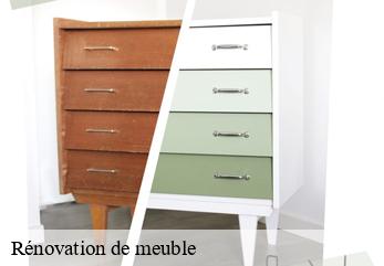 Rénovation de meuble 77 Seine-et-Marne  Tapissier Décorateur