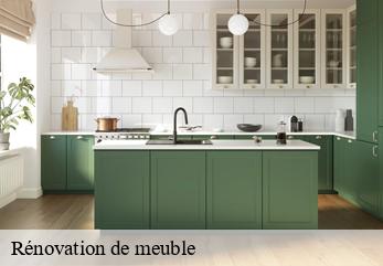 Rénovation de meuble  beautheil-77120 Tapissier Décorateur