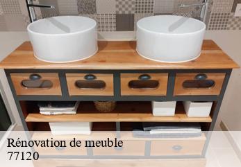 Rénovation de meuble  beautheil-77120 Tapissier Décorateur