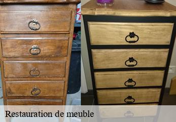 Restauration de meuble  annet-sur-marne-77410 Tapissier Décorateur